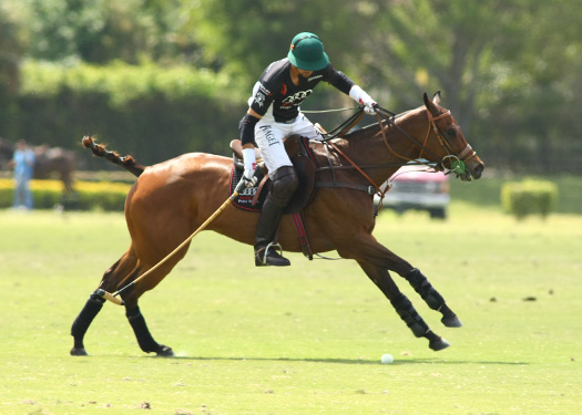 Photos-Audi vs. Alegria-Gold Cup polo top tournament usa alex pacheco 3