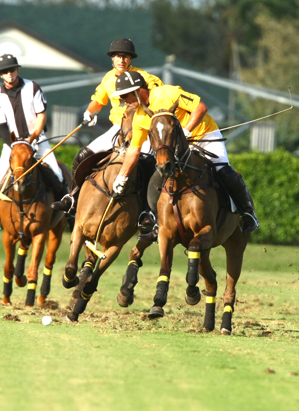 Photos-Joe Barry Memorial Cup-1-11-2014