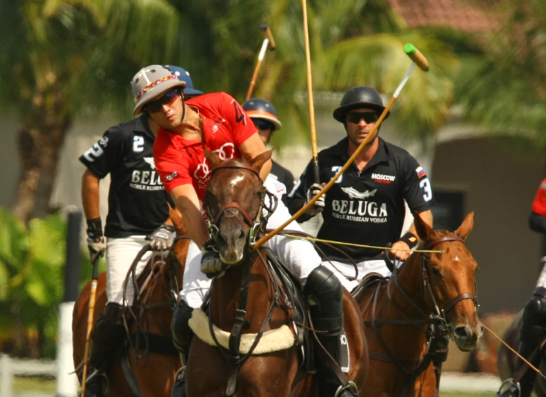 POLO IS BACK at Lucky Shoes Polo