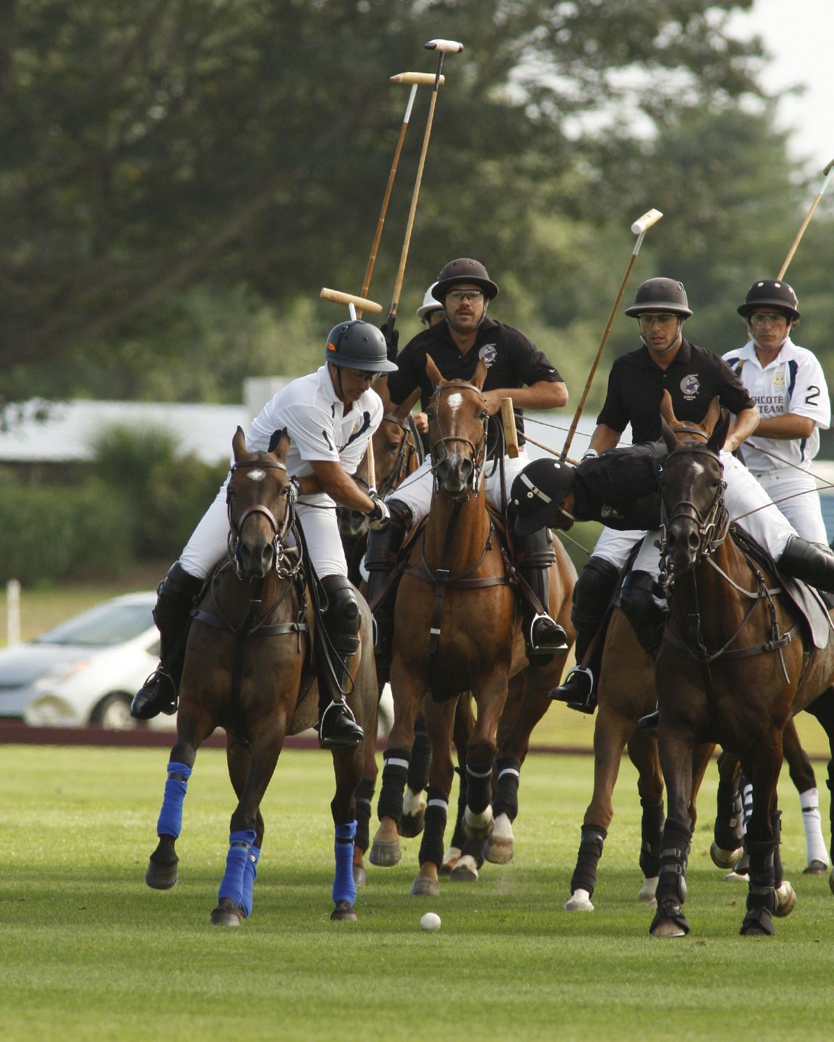 20-goal Hampton Cup