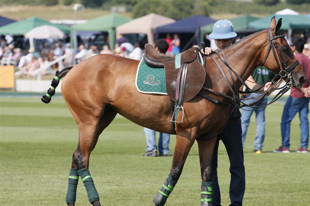 british polo open championships polo tournament polo photography celine genonceau polo magazine 20
