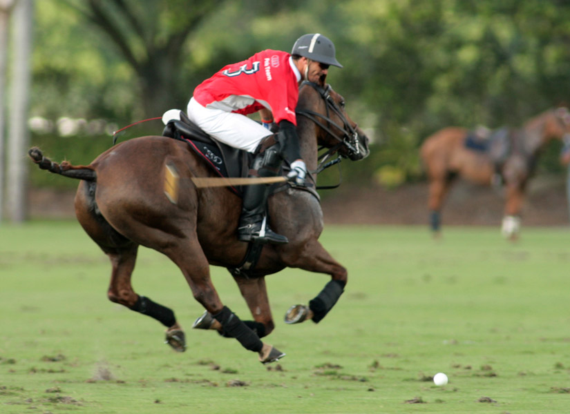 Photos-AudiCT Energia Ylvisaker Cup polomagazinePhotos Pacheco 3