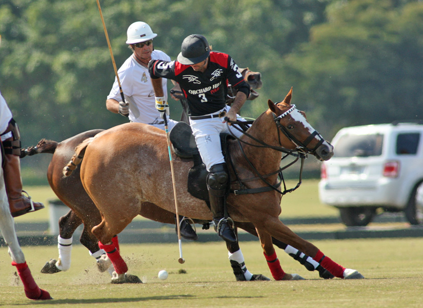 polomagazinephotspachecobobbybarrypolocupfinal 1